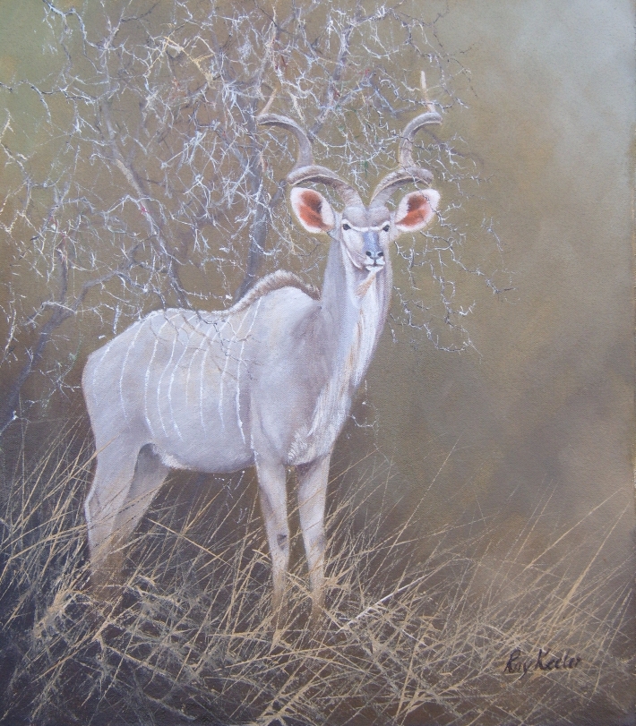 gallery/bu06 kudu bull 440x400