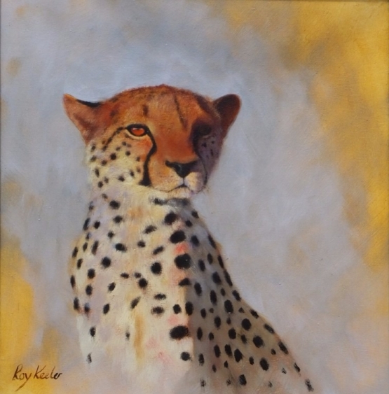 gallery/c11 cheetah portrait
