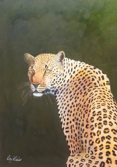 gallery/c08 leopard portrait