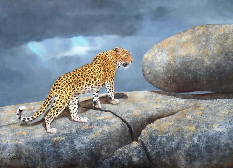 gallery/c10 leopard on rocks