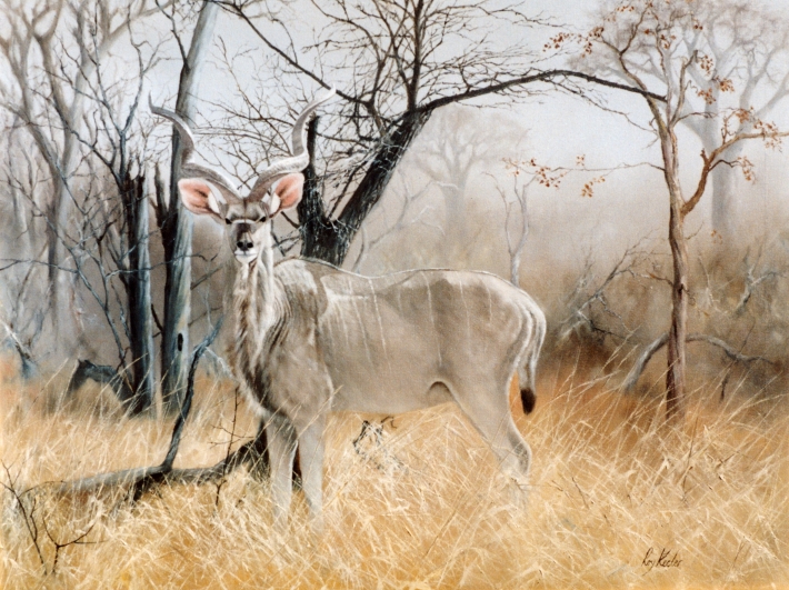 gallery/bu03 kudu bull