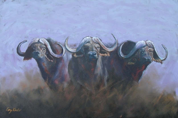 gallery/n30 buffalo group 90x60