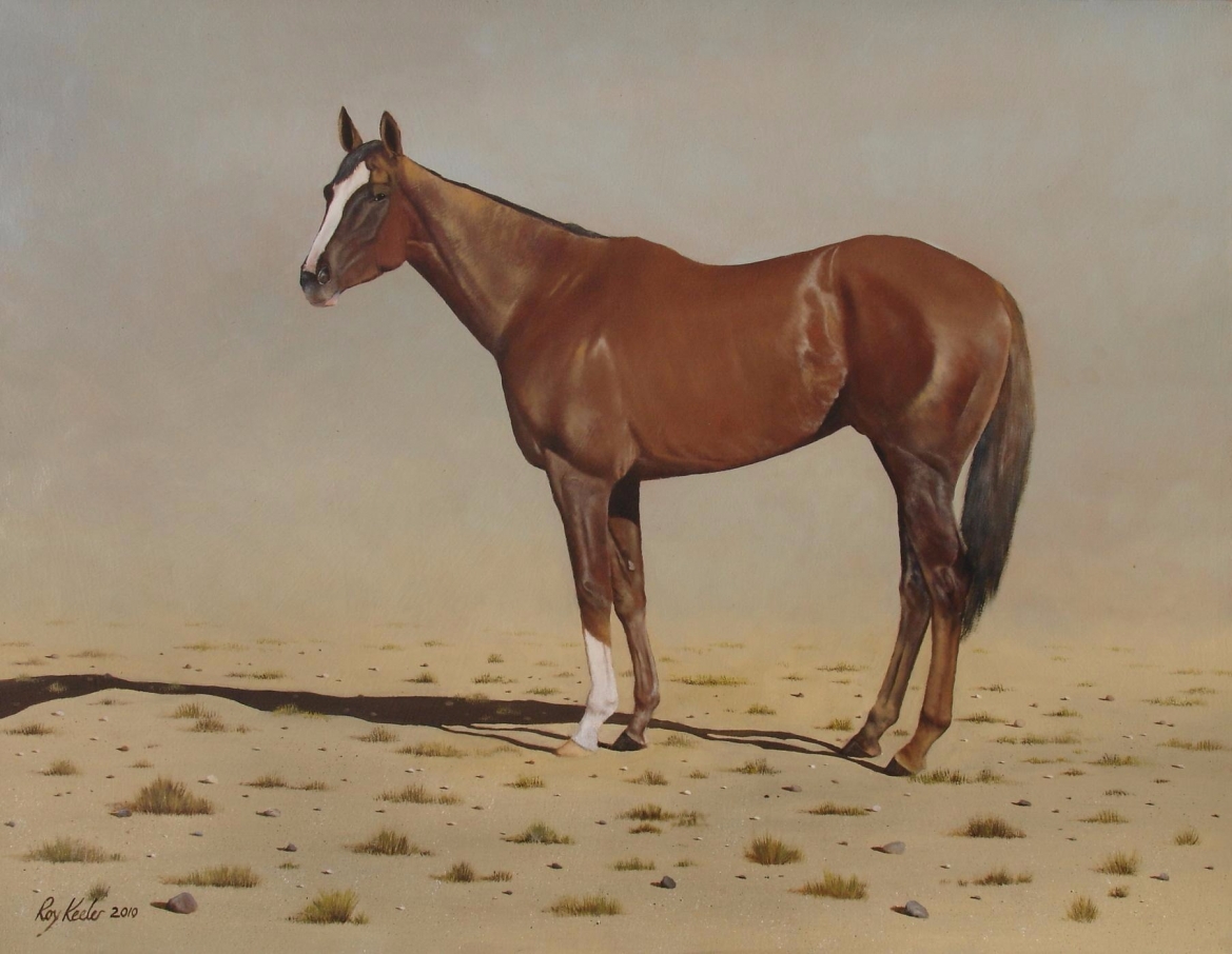 gallery/60 the horse 915x710