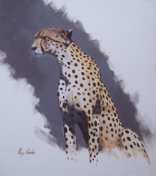 gallery/12 cheetah 440x400