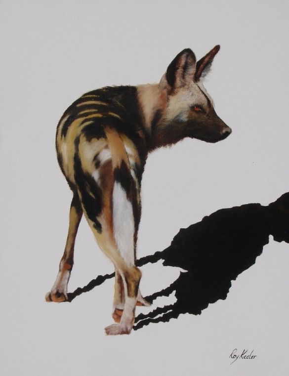 gallery/painted dog