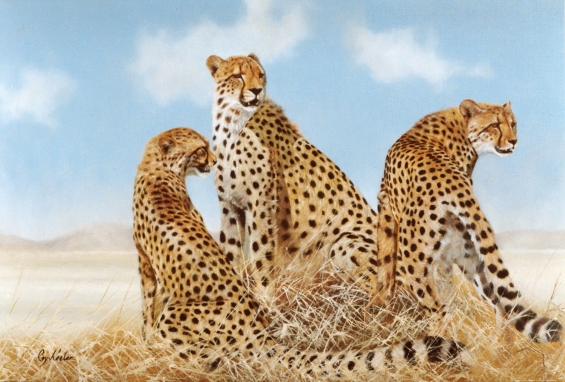 gallery/98 04 cheetah group