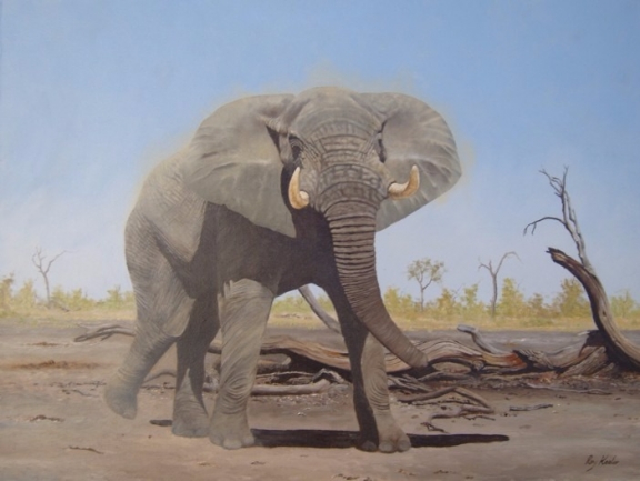 gallery/e06 elephant agro