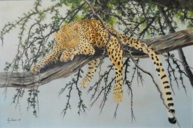 gallery/93a leopard in a tree