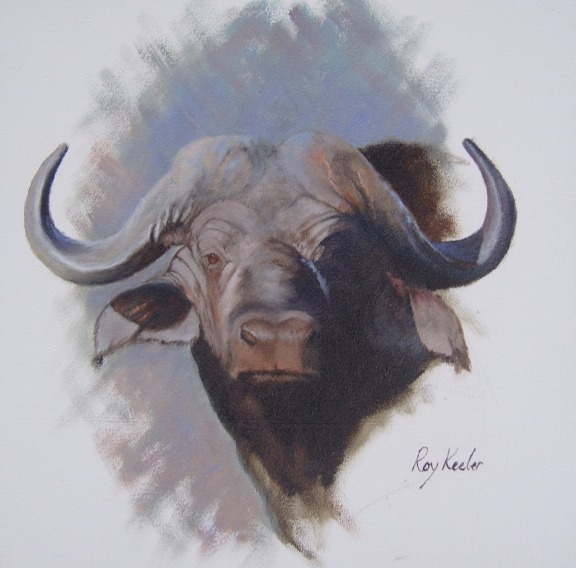 gallery/39 buffalo portrait  390x390