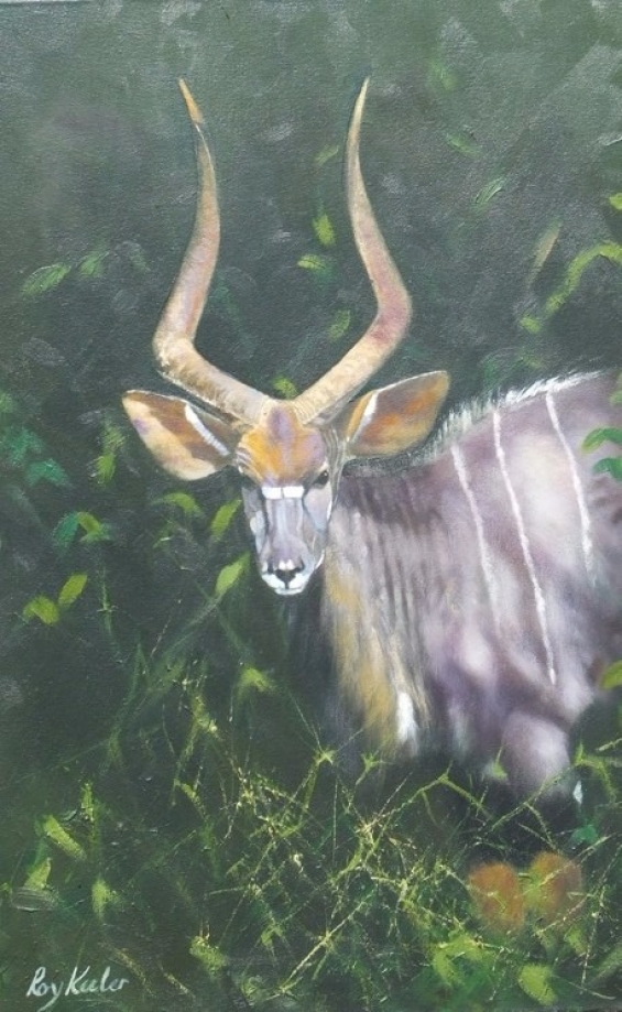 gallery/06c nyala