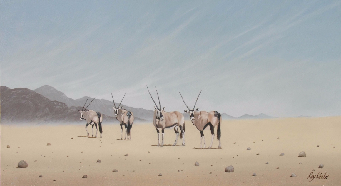 gallery/bu09 desert gemsbok 910mmx510mm
