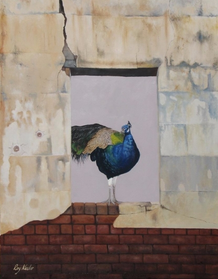 gallery/59 peacock through the window 900x600