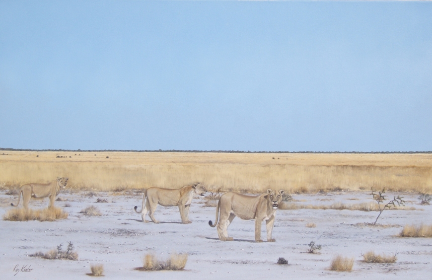 gallery/c20 etosha queens