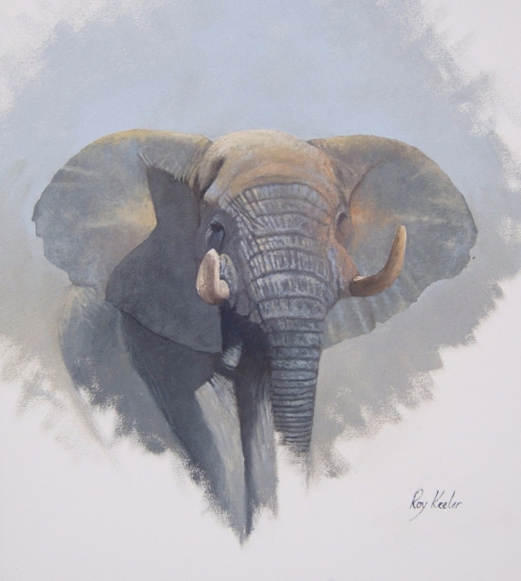 gallery/e09 ellie portrait