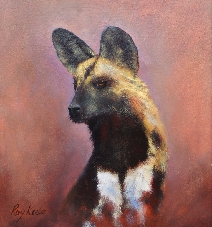 gallery/10b wild dog sm