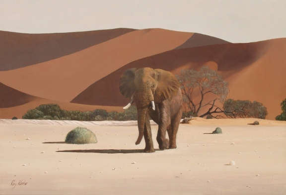 gallery/e01 king of the dunes