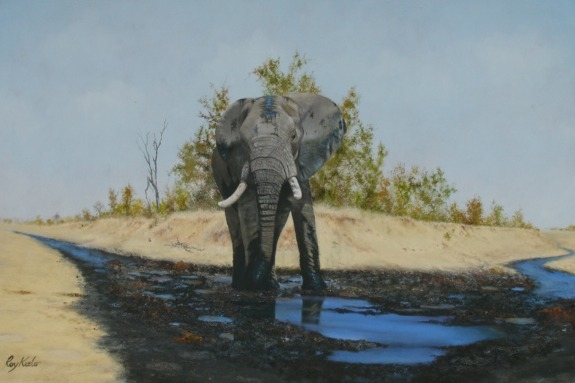 gallery/e04 ellie bull 900mmx600mm