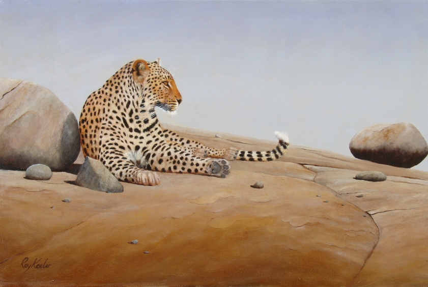 gallery/c02 leopard on the rock