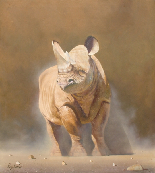 gallery/n22 rhino