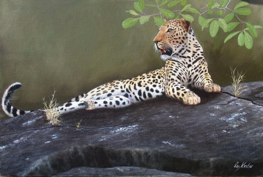 gallery/06b leopard on rock 770x510