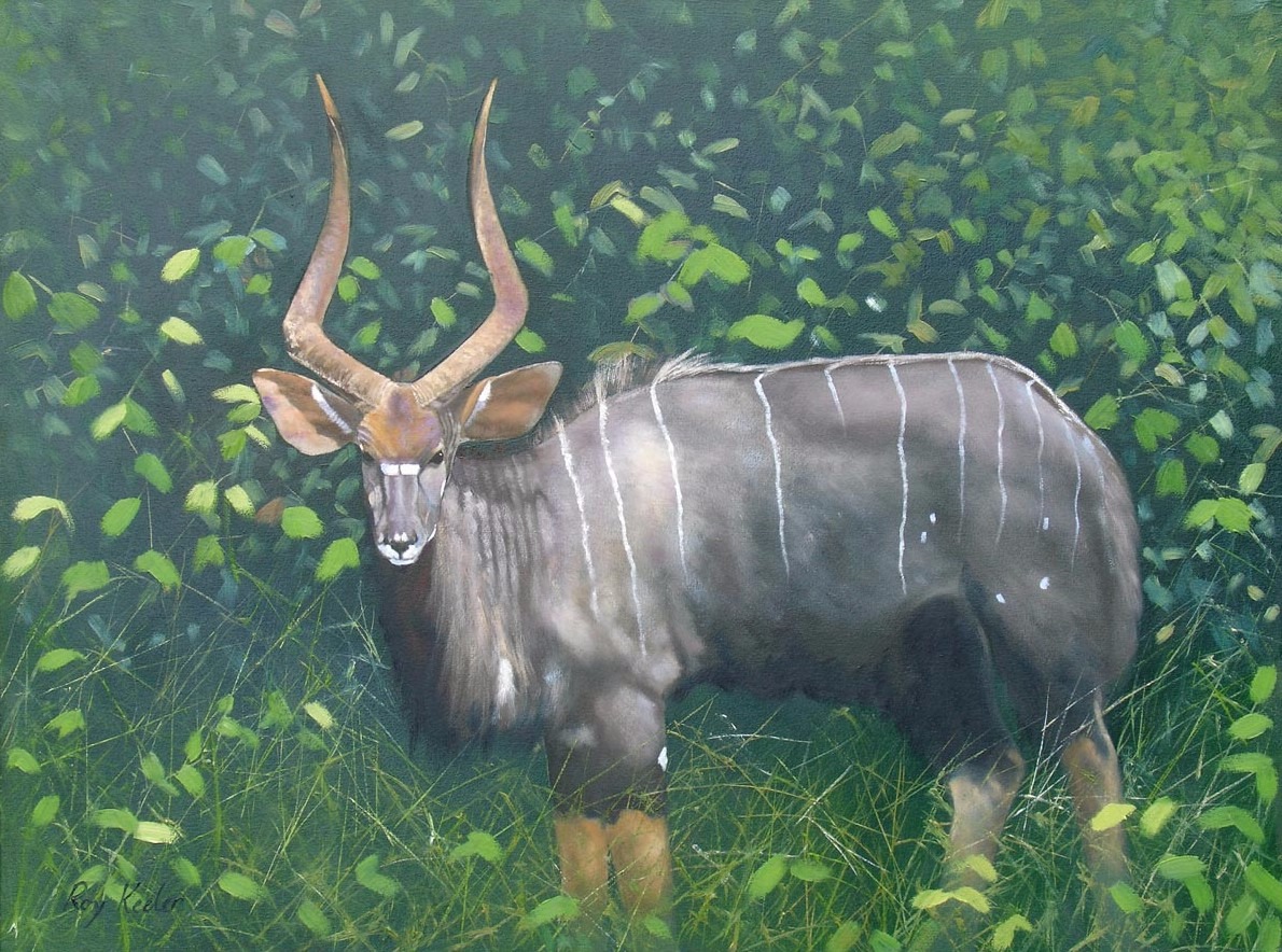 gallery/bu02 nyala 002