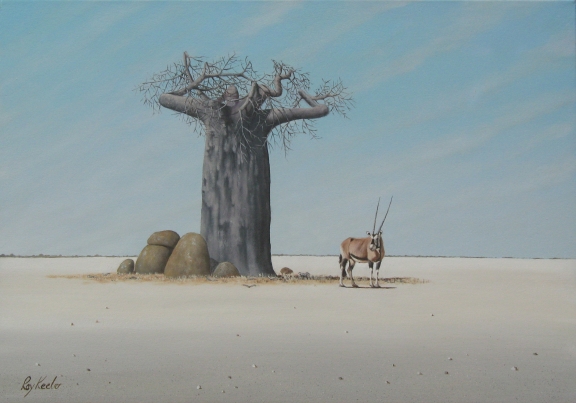 gallery/bu04 kalahari baobab