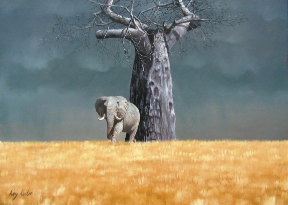 gallery/e13 baobab ele