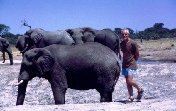 gallery/p15 roy & friends